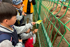 邂逅大自然 品味劳动美——星澜学校小学部一二三四年级秋季社会实践活动